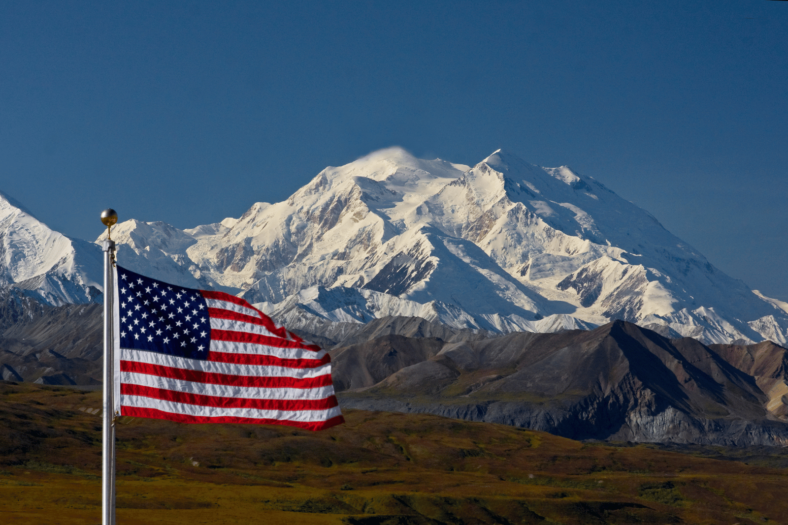 Denali or Mt. McKinley in Denali National Park from the park road with American flag blowing in the wind.