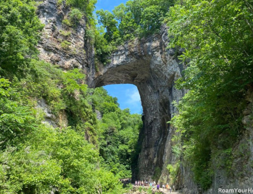 Natural Bridge State Park: Visitor’s Guide