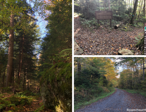 Exploring the Gaudineer Scenic Area in the Monongahela National Forest