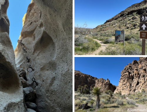 Rings Trail Guide: Mojave National Preserve