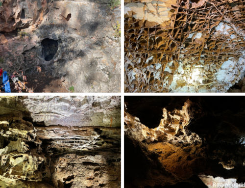 Wind Cave National Park: Natural Entrance Tour