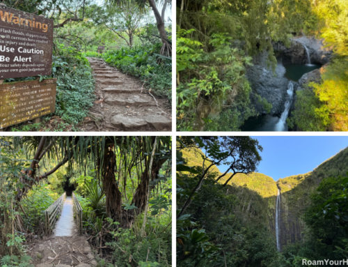 Pipiwai Trail Guide: Haleakalā National Park