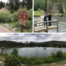 Sprague Lake Trail