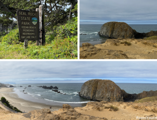 Exploring the Untamed Beauty of Seal Rock State Recreation Site