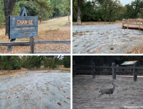 Indian Grinding Rock State Historic Park: Visitor’s Guide