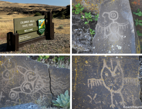 Columbia Hills Historical State Park: A Petroglyph Guide