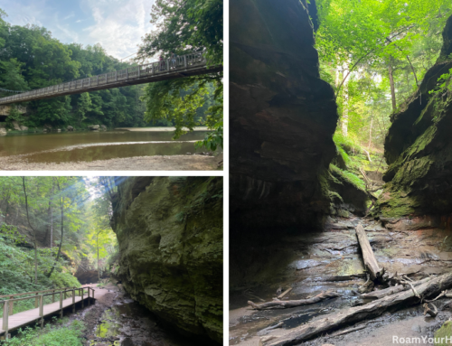 Turkey Run State Park: A Quick Visitors Guide