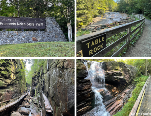 Flume Gorge Trail: Franconia Notch State Park