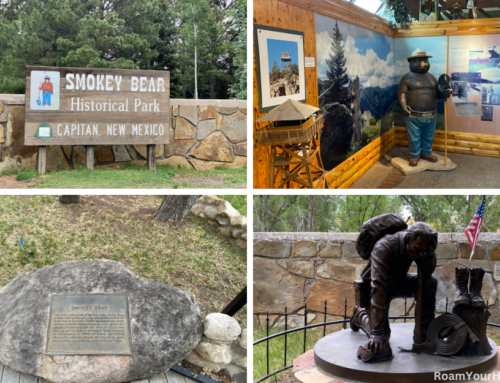 Smokey Bear Historical Park: An Origin Story