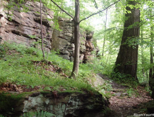 Jumonville Glen: Where the French and Indian War Started