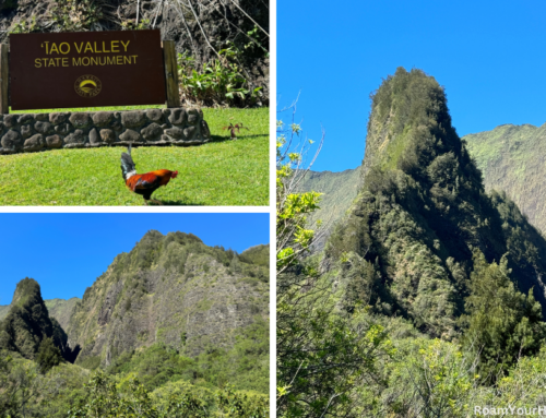 ʻĪao Valley State Monument: Visitor’s Guide