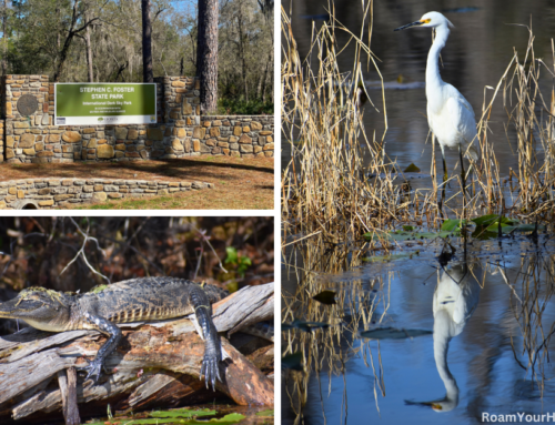 Stephen C. Foster State Park and Okefenokee Swamp Tour: Visitor’s Guide
