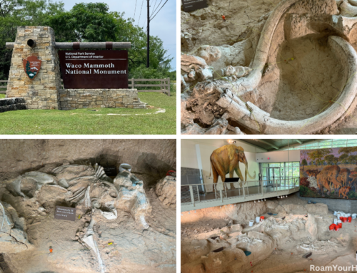 Waco Mammoth National Monument: An Intimate View of Prehistoric Fossils