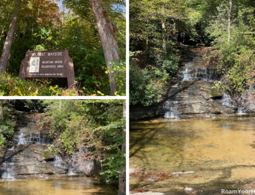 Wildcat Branch Falls along the Cherokee Foothills Scenic Highway