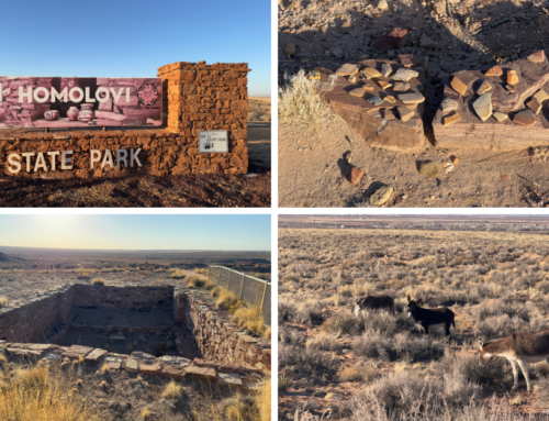Homolovi State Park: Ancient Pueblo History and Arizona Beauty
