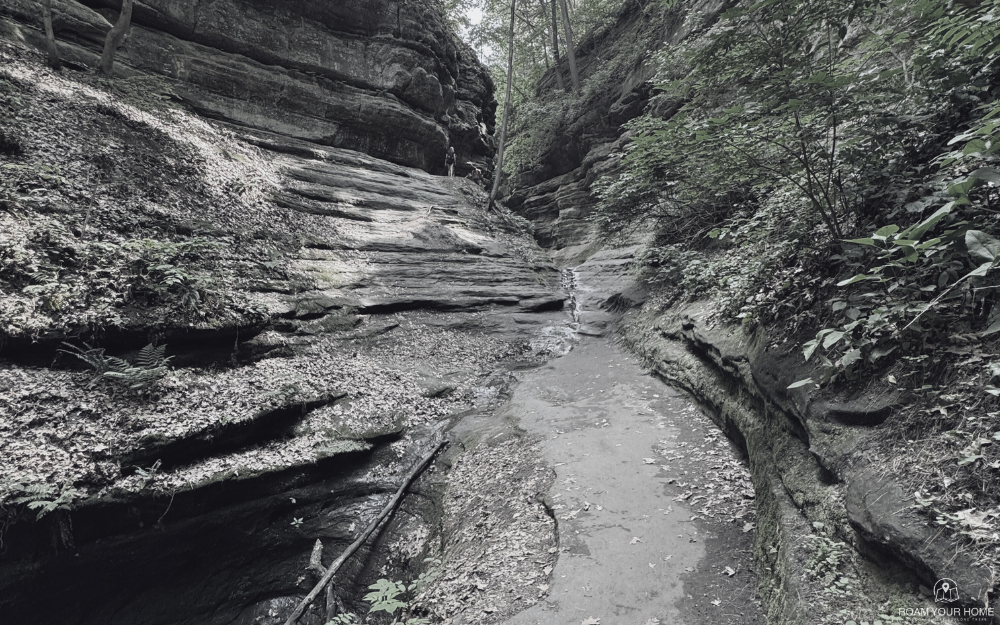 Starved Rock Murders