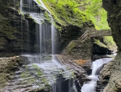 The Best State Park in Every State: 50 Must-Visit Parks Across America