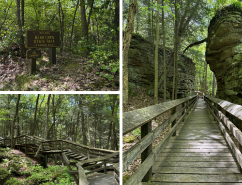 Exploring Beartown State Park in West Virginia: Walking the Boardwalk Through a Hidden Rock City