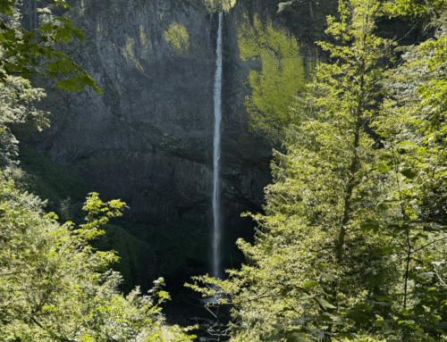 Latourell Falls in Oregon’s Columbia River Gorge
