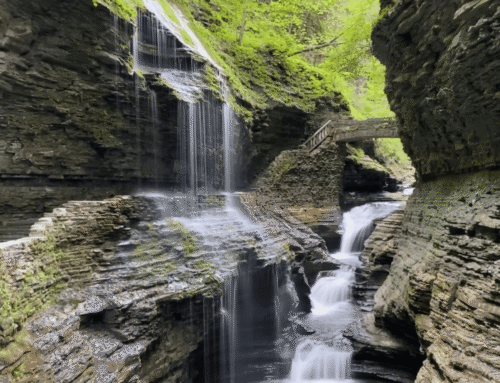 Hiking the Gorge Trail at Watkins Glen State Park: The Most Scenic Hike in New York’s Finger Lakes